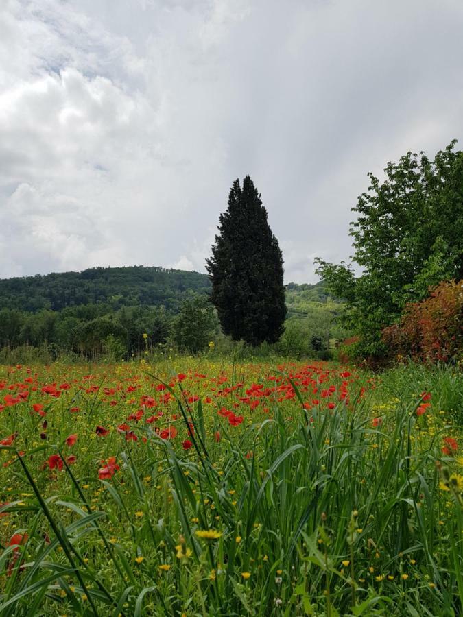Вілла Sweet In Chianti Tavarnelle Val di Pesa Екстер'єр фото