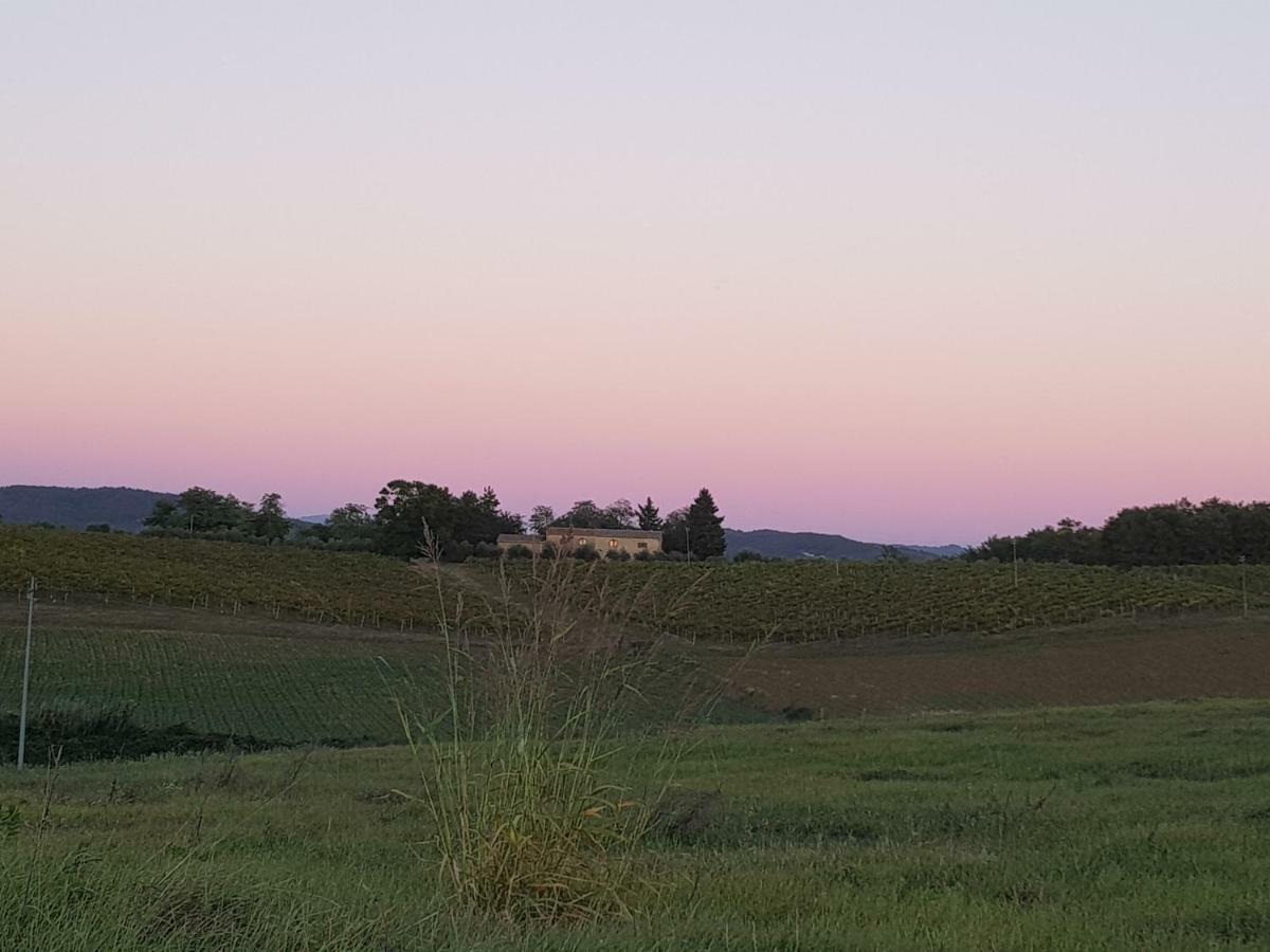 Вілла Sweet In Chianti Tavarnelle Val di Pesa Екстер'єр фото